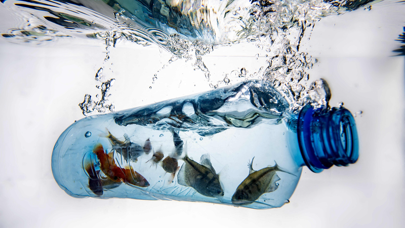 World_Environment_Day__China___Africa_Beat_Plastic_Pollution - Namaste Headlines World_Environment_Day__China___Africa_Beat_Plastic_Pollution
