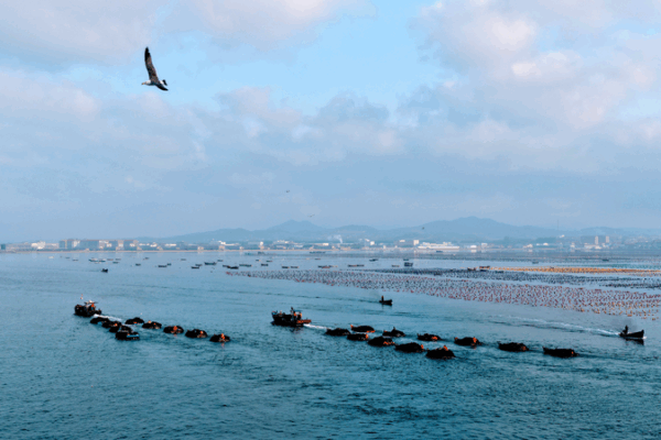 Xi Jinping Charts a Bold Maritime Future Xi_Jinping_Charts_a_Bold_Maritime_Future