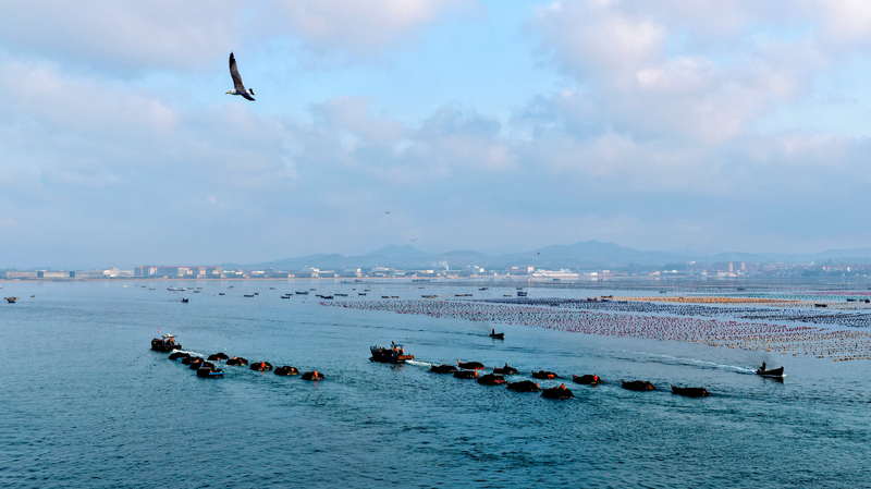 Xi_Jinping_Charts_a_Bold_Maritime_Future - Namaste Headlines Xi_Jinping_Charts_a_Bold_Maritime_Future