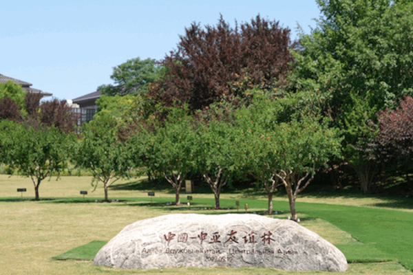 Xi’an’s Pomegranate Trees: Blossoming Unity between China & Central Asia Xi_an_s_Pomegranate_Trees__Blossoming_Unity_between_China___Central_Asia video poster