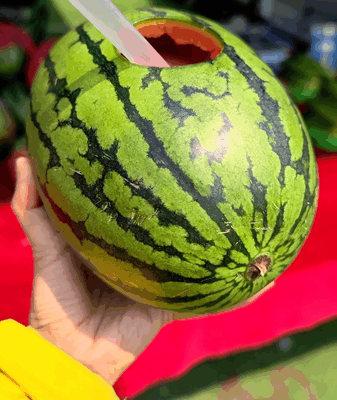 Xiazhi Refresh: Embrace Summer with Watermelon Magic in Beijing Xiazhi_Refresh__Embrace_Summer_with_Watermelon_Magic_in_Beijing video poster