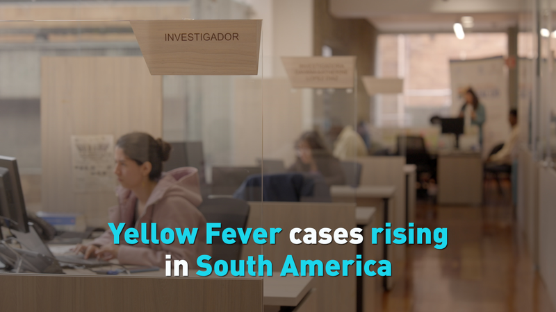 Yellow Fever Cases Surge in South America: CDC Warns Travelers Yellow_Fever_Cases_Surge_in_South_America__CDC_Warns_Travelers video poster