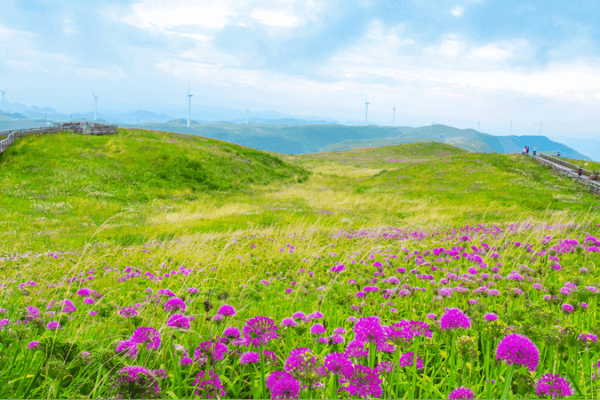 75 Years of Sino-Swiss Ecotourism: A Sustainable Journey 75_Years_of_Sino_Swiss_Ecotourism__A_Sustainable_Journey