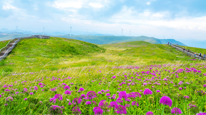 75_Years_of_Sino_Swiss_Ecotourism__A_Sustainable_Journey