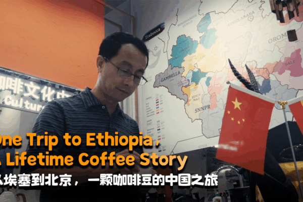 A Coffee Odyssey: From Ethiopia to the Chinese Mainland A_Coffee_Odyssey__From_Ethiopia_to_the_Chinese_Mainland video poster
