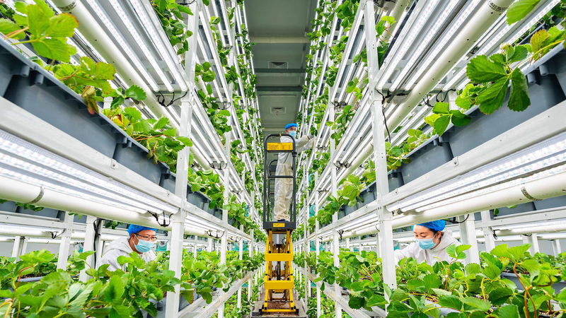 Agri_Tech_Innovation__Simple_Tech__Big_Harvest - Namaste Headlines Agri_Tech_Innovation__Simple_Tech__Big_Harvest