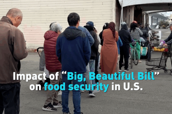Big Bill, Bigger Food Security Concerns in the US Big_Bill__Bigger_Food_Security_Concerns_in_the_US video poster