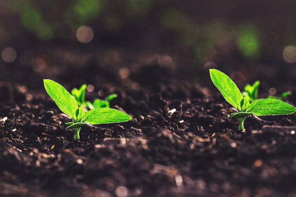 Breakthrough Soil Moisture Tech Unveiled! Breakthrough_Soil_Moisture_Tech_Unveiled_