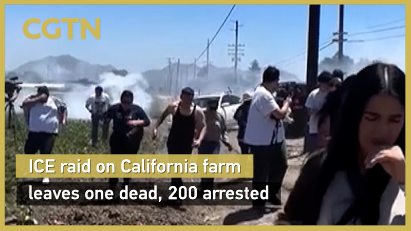Chaotic ICE Raid at CA Cannabis Farm: 1 Dead, 200 Arrested Chaotic_ICE_Raid_at_CA_Cannabis_Farm__1_Dead__200_Arrested video poster