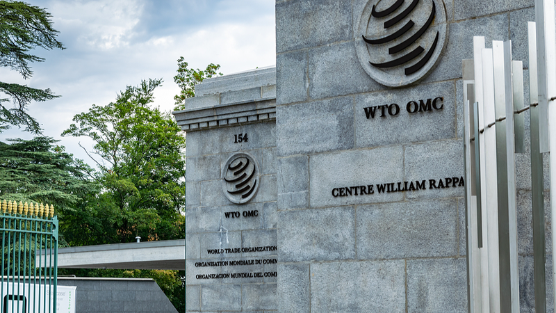 China_Reviews_WTO_Ruling_on_Patent_Dispute