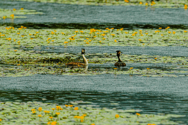China Tops Global List With 22 International Wetland Cities! China_Tops_Global_List_With_22_International_Wetland_Cities_