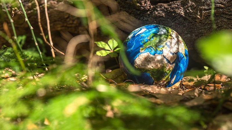 China___EU_Unite_for_Bold_Climate_Action_ - Namaste Headlines China___EU_Unite_for_Bold_Climate_Action_