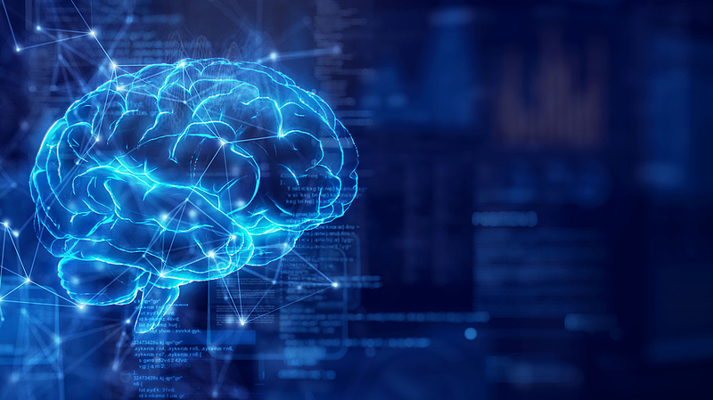 Chinese-Led Breakthrough in Mesoscale Brain Mapping Chinese_Led_Breakthrough_in_Mesoscale_Brain_Mapping
