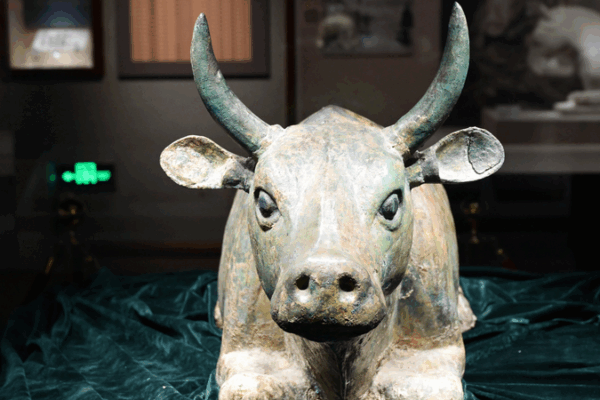 Cultural Cool: Ningxia Museum Lights Up This Summer Cultural_Cool__Ningxia_Museum_Lights_Up_This_Summer