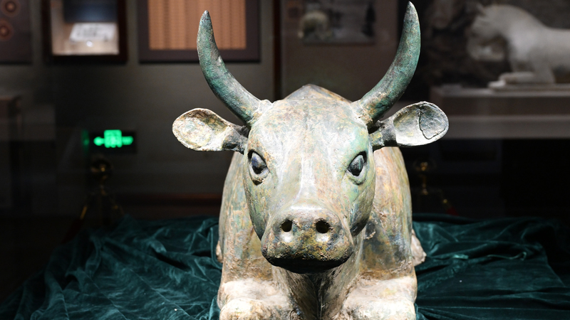 Cultural_Cool__Ningxia_Museum_Lights_Up_This_Summer