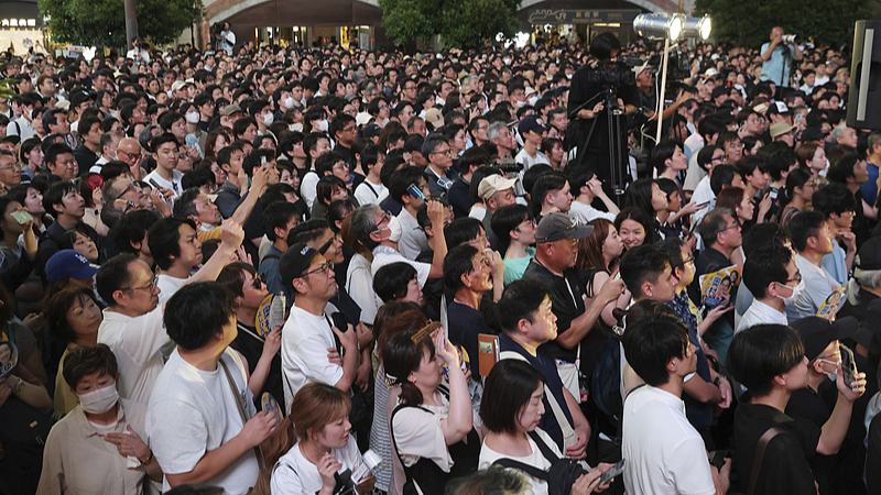Japan’s Upper House Election: Battle for a Majority