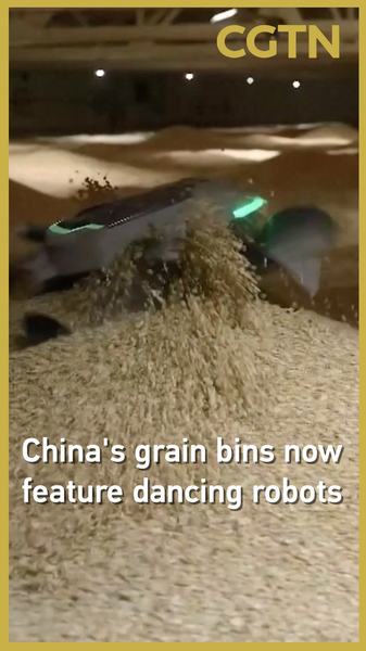 Dancing Robots Revolutionize Chinese Grain Bins Dancing_Robots_Revolutionize_Chinese_Grain_Bins video poster