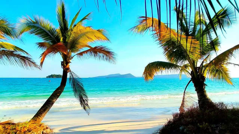 Deep_Sea_Life__Protecting_Hidden_Heroes_of_the_Blue_Planet