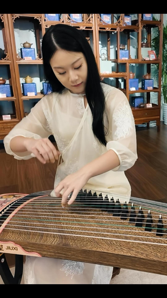 Enchanting_Guzheng_Vibes_at_Bird_s_Nest_Art_Fest video poster