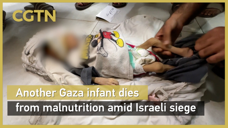 Gaza_Crisis__Infant_Dies_from_Hunger_Amid_Israeli_Siege_poster - Namaste Headlines Gaza_Crisis__Infant_Dies_from_Hunger_Amid_Israeli_Siege video poster