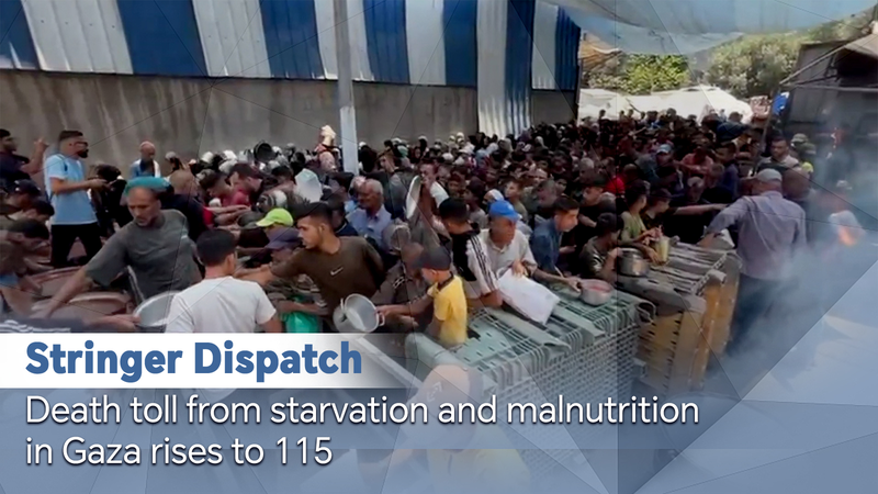 Gaza_Starvation_Crisis__Death_Toll_Rises_to_115 video poster