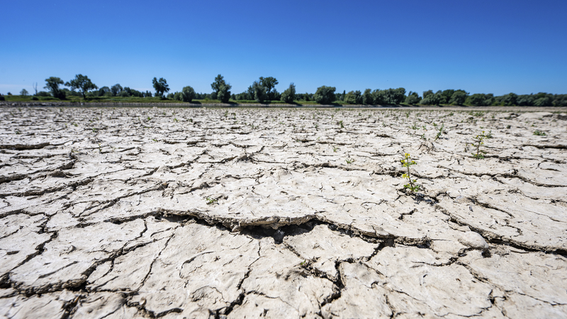 Global_Drought_Era__Rising_Systemic_Risks_Explained