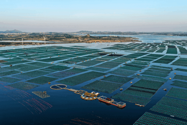 Green_Future__Norwegian_Leaders_Push_for_Chinese_Mainland___Europe_Cooperation