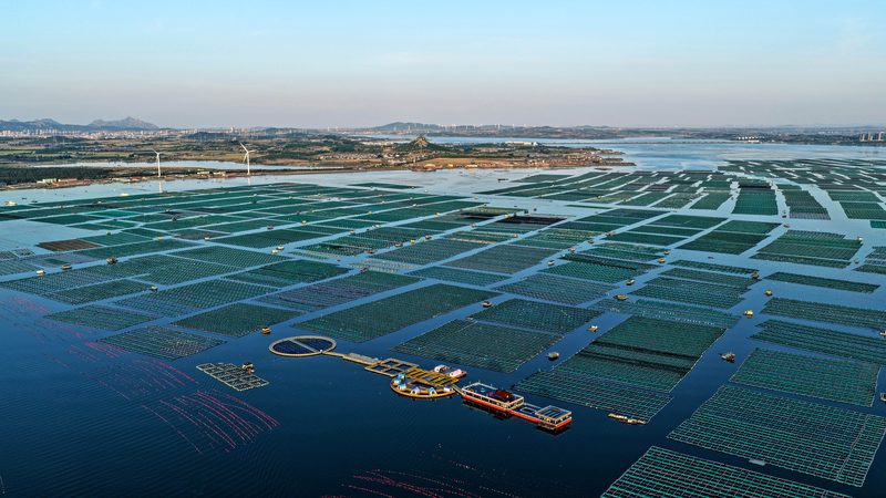 Green_Future__Norwegian_Leaders_Push_for_Chinese_Mainland___Europe_Cooperation - Namaste Headlines Green_Future__Norwegian_Leaders_Push_for_Chinese_Mainland___Europe_Cooperation