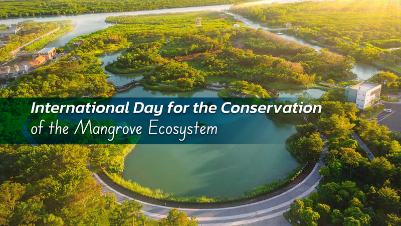 Guarding Mangroves: Building Our Blue-Carbon Shield Guarding_Mangroves__Building_Our_Blue_Carbon_Shield