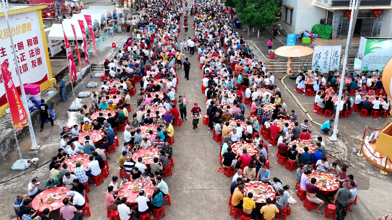 Hainan_s_Village_VA_Fuels_Rural_Revival - Namaste Headlines Hainan_s_Village_VA_Fuels_Rural_Revival