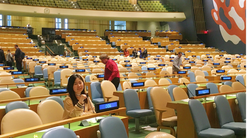 Interning_at_the_UN__A_Journey_of_Global_Harmony