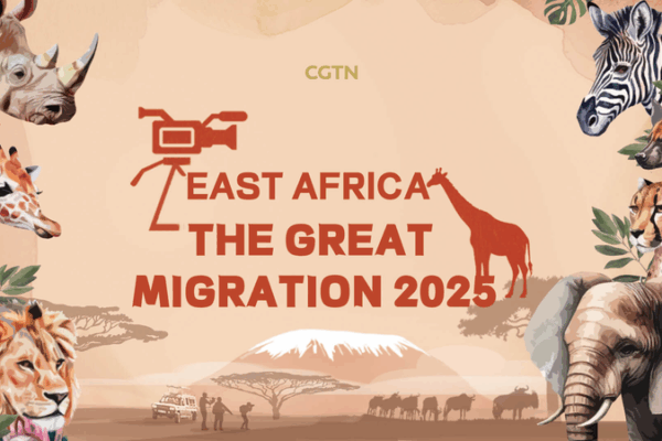 Live Kenya: Great Migration in the Shadow of the Big Five Live_Kenya__Great_Migration_in_the_Shadow_of_the_Big_Five video poster
