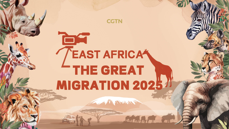 Live_Kenya__Great_Migration_in_the_Shadow_of_the_Big_Five_poster - Namaste Headlines Live_Kenya__Great_Migration_in_the_Shadow_of_the_Big_Five video poster