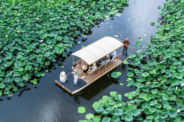 Lotus Raft Rides in Taizhou: Your Summer Escape Lotus_Raft_Rides_in_Taizhou__Your_Summer_Escape