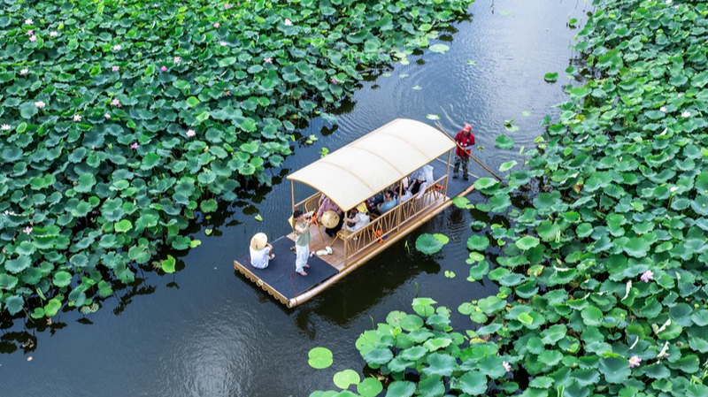 Lotus_Raft_Rides_in_Taizhou__Your_Summer_Escape - Namaste Headlines Lotus_Raft_Rides_in_Taizhou__Your_Summer_Escape