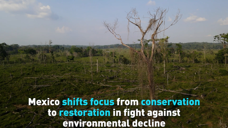 Mexico_Embraces_Restoration_in_the_Fight_Against_Environmental_Decline_poster - Namaste Headlines Mexico_Embraces_Restoration_in_the_Fight_Against_Environmental_Decline video poster