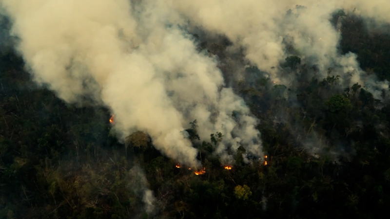 New_Bill_Could_Fast_Track_Amazon_Deforestation_in_Brazil__poster - Namaste Headlines New_Bill_Could_Fast_Track_Amazon_Deforestation_in_Brazil_ video poster