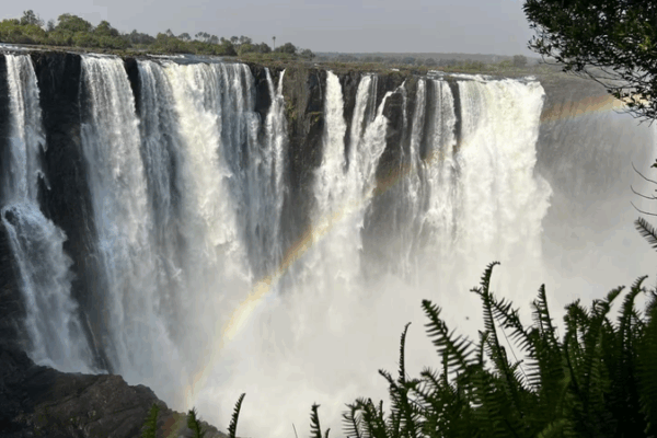China & Africa Unite for Global Wetland Rescue 🌱 China & Africa Unite for Global Wetland Rescue 🌱