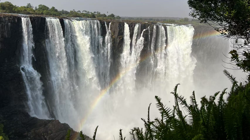 RDR7OBWSGCGTPE7UAGJM - Namaste Headlines China & Africa Unite for Global Wetland Rescue 🌱