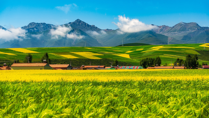 Satellite_Pasture_Data_Boosts_Eco_Protection_on_Qinghai_Xizang_Plateau