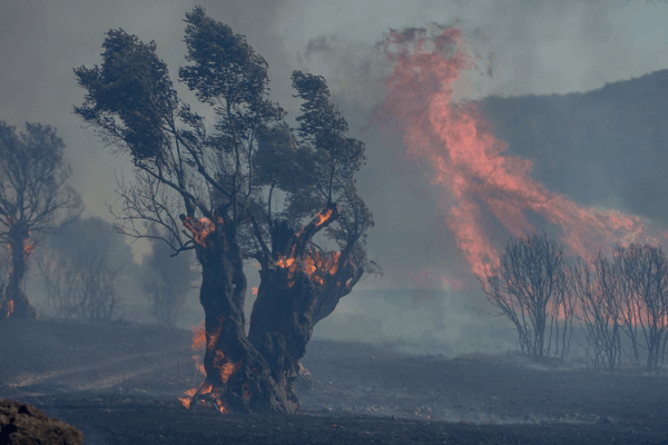 Southern Europe Battles Wildfires Amid Heatwaves Southern_Europe_Battles_Wildfires_Amid_Heatwaves