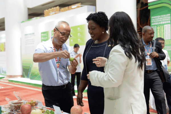 Spring City Sparks Smart Farming Revolution Spring_City_Sparks_Smart_Farming_Revolution