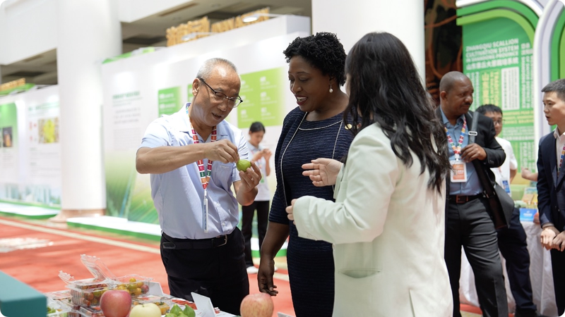 Spring_City_Sparks_Smart_Farming_Revolution - Namaste Headlines Spring_City_Sparks_Smart_Farming_Revolution