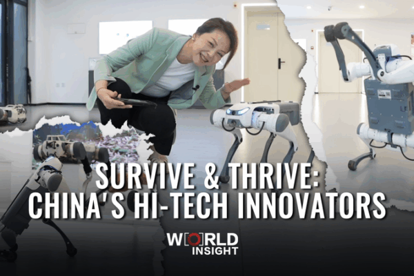 Survive & Thrive: Hi-Tech Innovations on the Chinese Mainland Survive___Thrive__Hi_Tech_Innovations_on_the_Chinese_Mainland video poster
