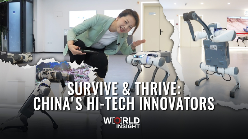Survive___Thrive__Hi_Tech_Innovations_on_the_Chinese_Mainland_poster - Namaste Headlines Survive___Thrive__Hi_Tech_Innovations_on_the_Chinese_Mainland video poster