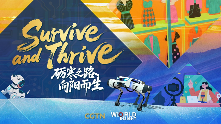 Survive & Thrive: Resilient Chinese Enterprises Amid Global Challenges Survive___Thrive__Resilient_Chinese_Enterprises_Amid_Global_Challenges video poster