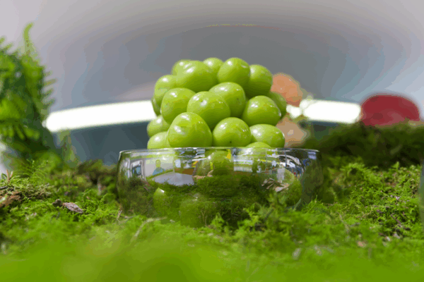 Tech Meets Soil: Digital Farming Revolution Unfolds Tech_Meets_Soil__Digital_Farming_Revolution_Unfolds