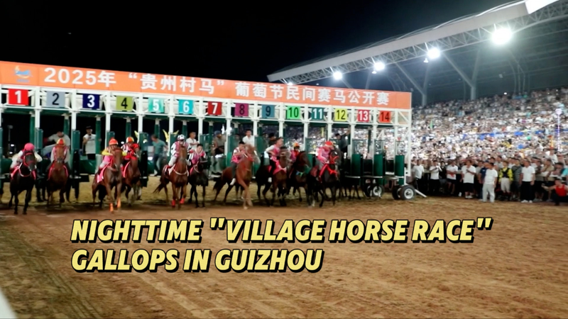 Thrilling Nighttime Village Horse Race in Guizhou Thrilling_Nighttime_Village_Horse_Race_in_Guizhou video poster