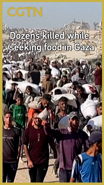 Tragic_Scene_in_Gaza__48__Killed_While_Seeking_Aid video poster
