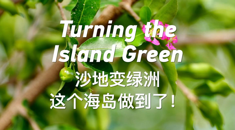 Turning the Island Green: Yongxing Eco Revival Turning_the_Island_Green__Yongxing_Eco_Revival video poster